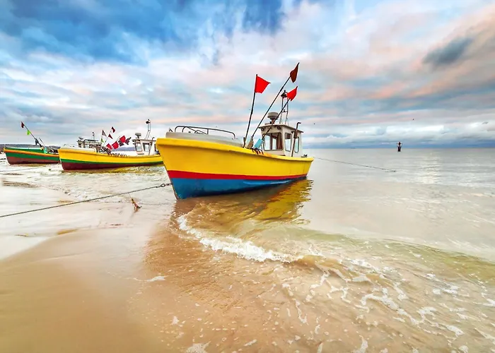 Wild Island * Gdansk